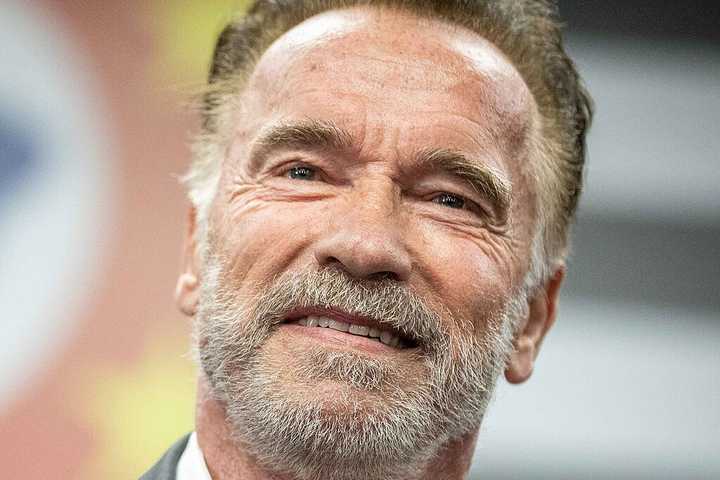 Netflix Axes Schwarzenegger Action Comedy After 2nd Season