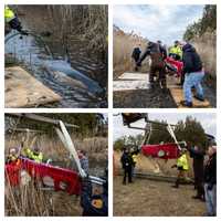 Dolphin Euthanized After Being Found In Monmouth Creek