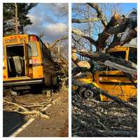 11 Kids Hurt After Tree Falls On Tewksbury School Bus: Whitehouse Rescue Squad