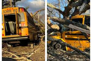 11 Kids Hurt After Tree Falls On School Bus: Whitehouse Rescue Squad