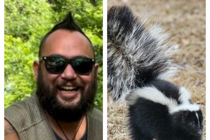 Sprayed For Good Cause: Washington Animal Control Officer Pays Price For Rescuing Skunk (VIDEO)