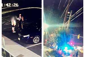 DWI Driver's Even Drunker Passenger Shows Up To Get Him At Police HQ After NJ Crash: Cops