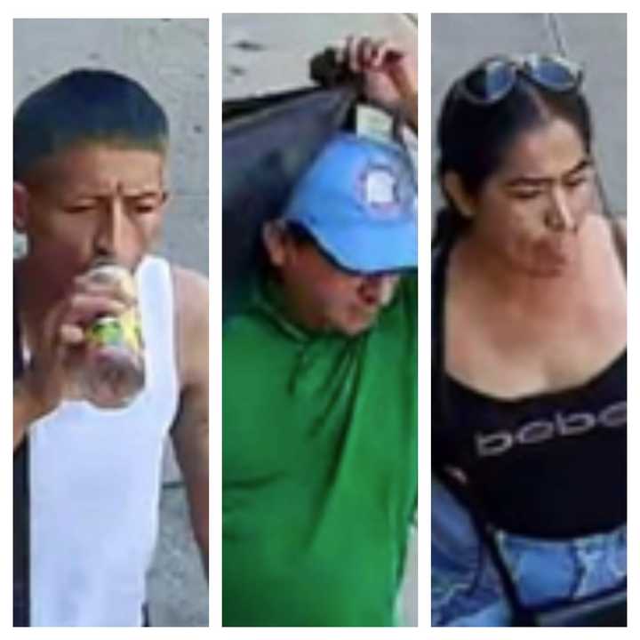 Three suspects are at large after snatching a woman's purse.