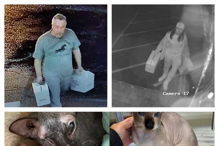 Pair Who Abandoned 4 Hairless Cats At Hopatcong Construction Business Sought By Police