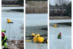 Small Dog Rescued After Falling Through Ice In Raritan: Authorities (PHOTOS)