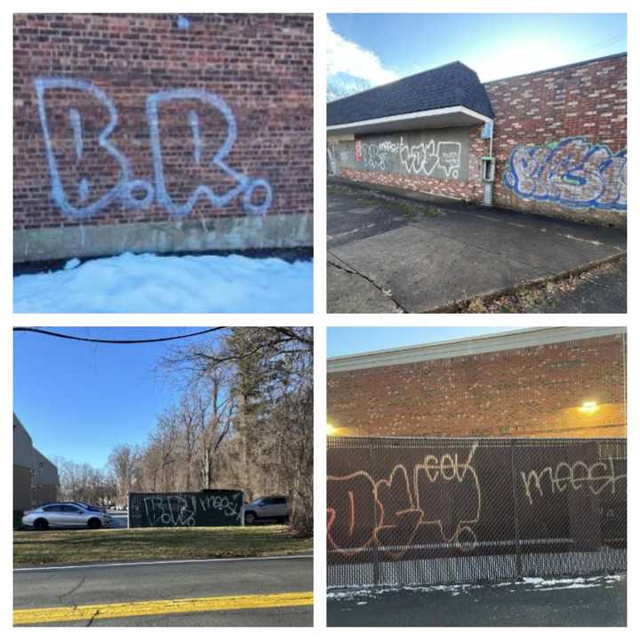 Some of the graffiti on buildings and landmarks found across the city.&nbsp;