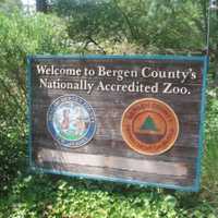 Best Family Activity In Bergen County In 2024: Bergen County Zoo