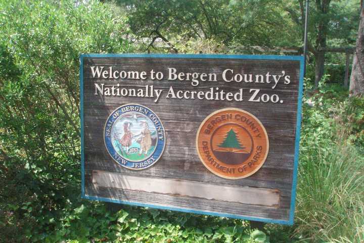 Best Family Activity In Bergen County In 2024: Bergen County Zoo