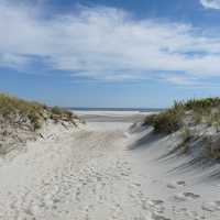 Parents Left Young Kids Home Alone So They Could Drink In NJ Beach Town: Cops