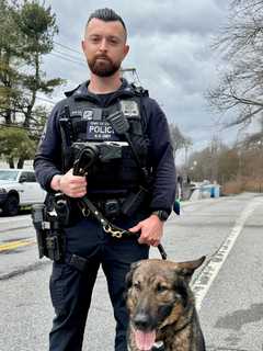 K9 Catches Man Who Broke Into Home, Car Dealership In Southeast, Police Say