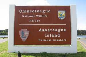 18-Year-Old Dies In Water Rescue Off Assateague Island: National Park Service