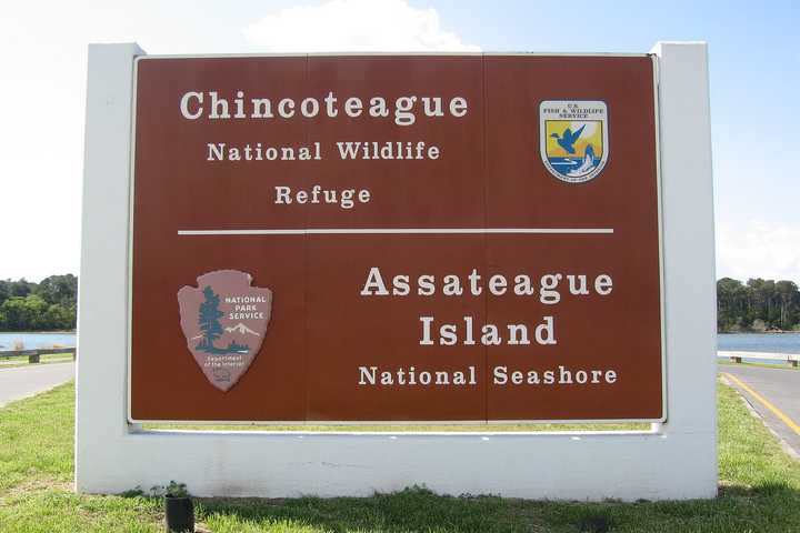 18-Year-Old Dies In Water Rescue Off Assateague Island: National Park Service