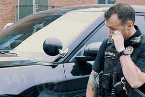 Hackensack Police Beg For Bronco In Sad Sarah McLachlan Video — And It's Gold
