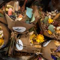 <p>More floral arrangements created by&nbsp;Damselfly Flowers.&nbsp;</p>