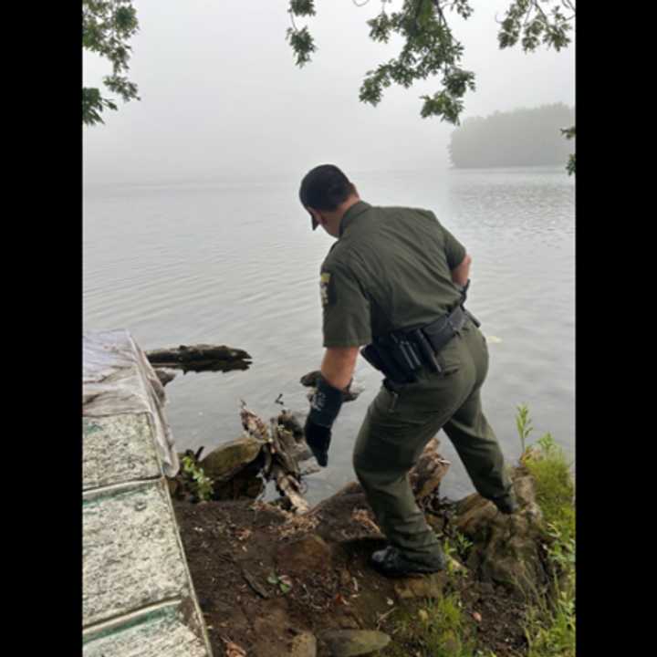 Environmental Conservation Officer Franz finds the falcon on the shore of the Kensico Reservoir in Harrison. 