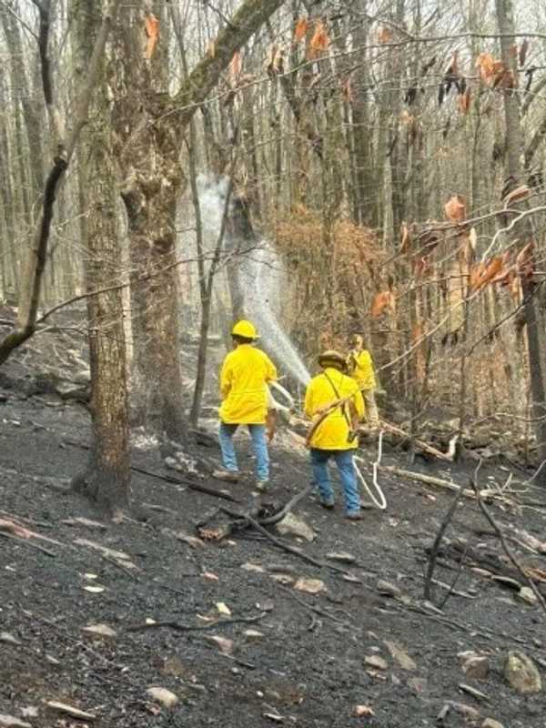 Massive Wildfire In Region Spreads To 600 Acres