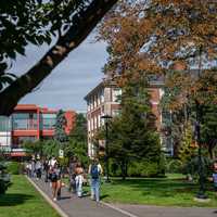 Adelphi Named Among Nation’s Best Colleges By TIME, Princeton Review