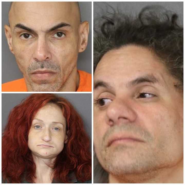 Elizabeth Womack, Sean Figueroa (top left), and Julio Ramirez.