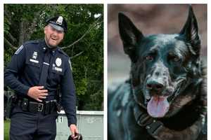 'My Protector': CT Officer Says Goodbye After K9 Diagnosed With Incurable Illness