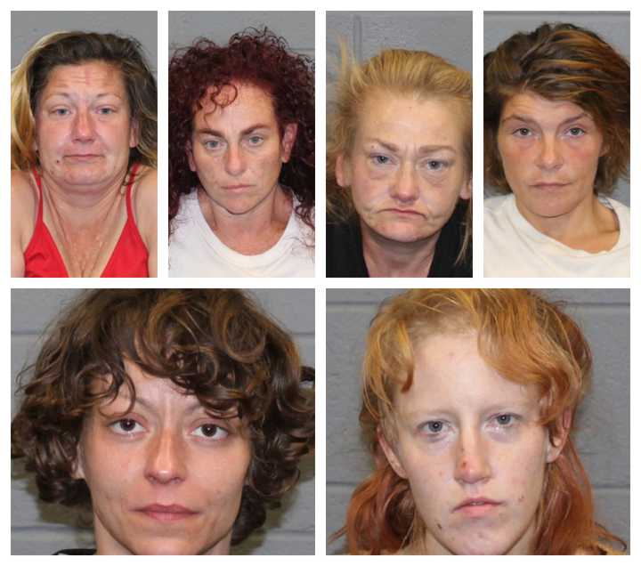 (Top left, clockwise) Amy Steele, Crystal Watson, Julianna Nunes, Michelle Clabaugh, Rosemary Sutherland, and Tina Conway