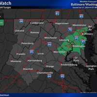 <p>The Flood Warning in the DMV</p>