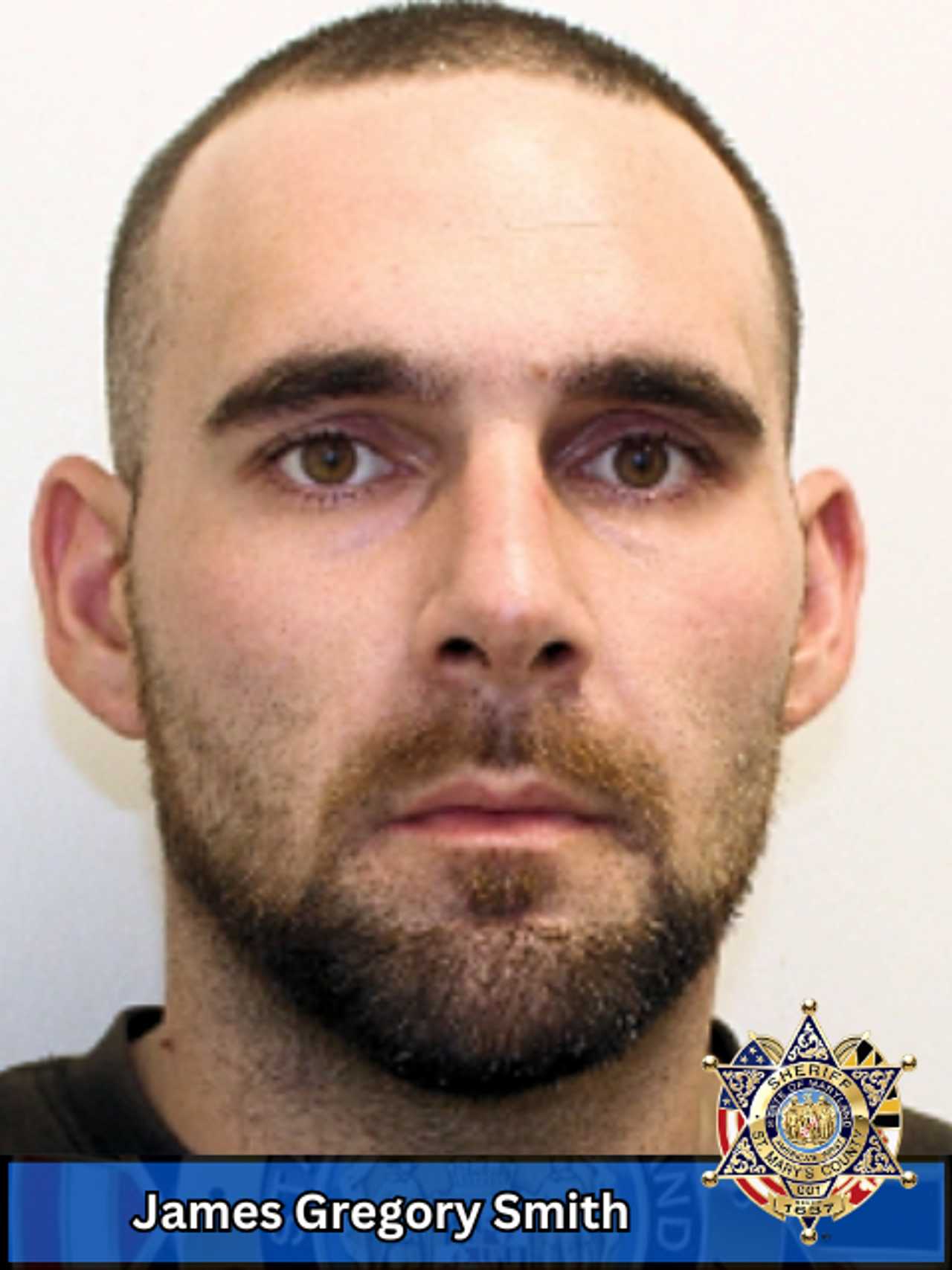 Driver Asleep At The Wheel Busted With Stolen Gun, Drug Paraphernalia