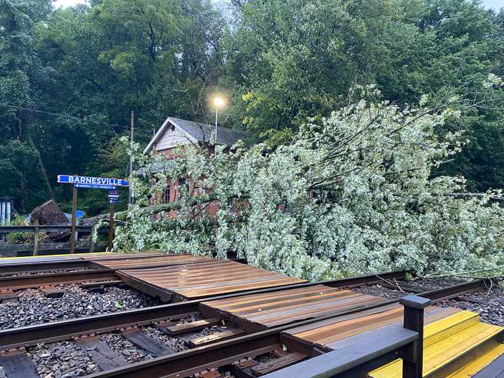 During the storm, trees and power lines were torn down.