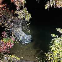 Driver Rescued By Bystanders After Crashing Into Potomac River In Fairfax County