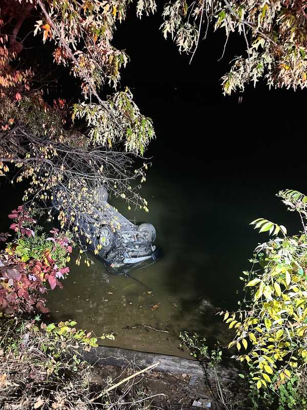 Driver Rescued By Bystanders After Crashing Into Potomac River In Virginia