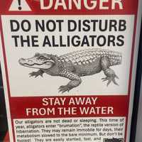 Alligators In Maryland? Prank Causes Stir Along Montgomery County Trail