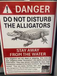 Alligators In Maryland? Prank Causes Stir Along Montgomery County Trail