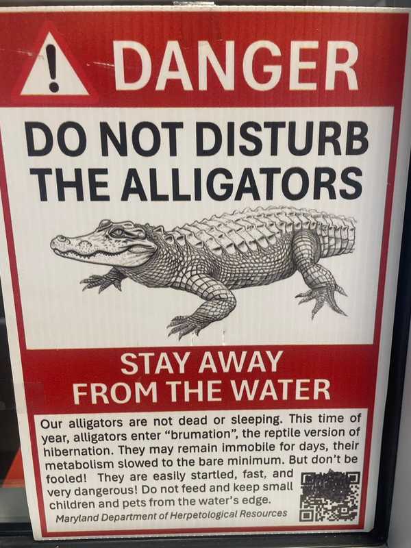 Alligators In Maryland? Prank Causes Stir Along Montgomery County Trail