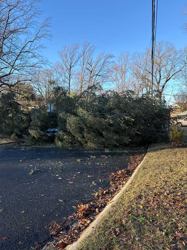 Thousands Without Power After Damaging Winds Whip Through Maryland: BGE