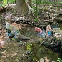 <p>RFK Jr. posted on social media on Sunday afternoon, showing photos of himself and his grandkids swimming in Rock Creek.&nbsp;
  
</p>