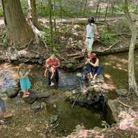 RFK Jr. Posts Pics Of Family In Rock Creek, Where Swimming Is Banned For Health Risks