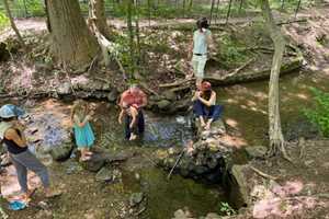 RFK Jr. Posts Pics Of Family In Rock Creek, Where Swimming Is Banned For Health Risks