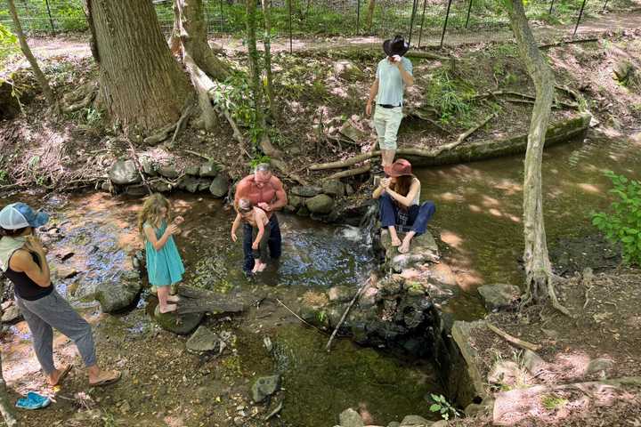 RFK Jr. Posts Pics Of Family In Rock Creek, Where Swimming Is Banned For Health Risks