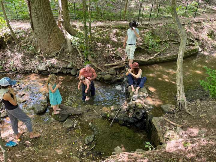 RFK Jr. posted on social media on Sunday afternoon, showing photos of himself and his grandkids swimming in Rock Creek.&nbsp;