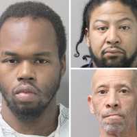 Knife-Wielding Man Robs Valley Stream PetSmart, Flees With Two Others: Police