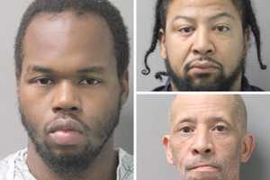 Knife-Wielding Man Robs Valley Stream PetSmart, Flees With Two Others: Police