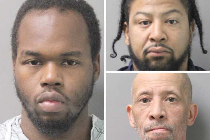 Knife-Wielding Man Robs Valley Stream PetSmart, Flees With Two Others: Police