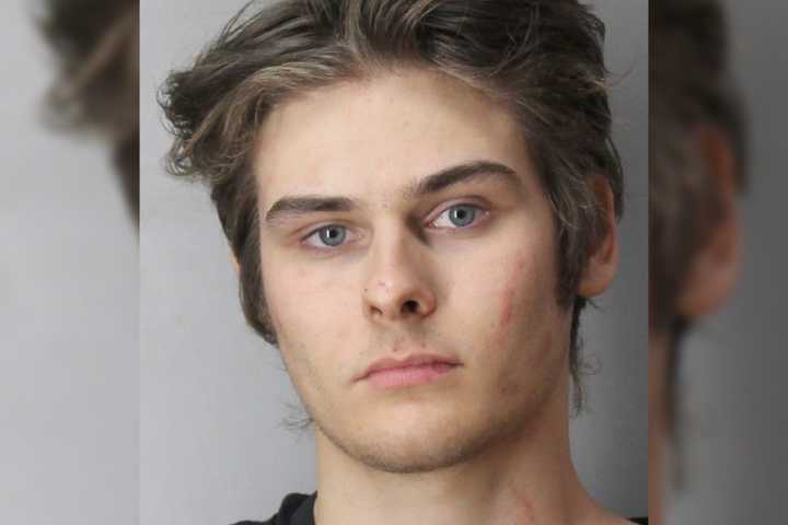 Long Island Teen Bites Detective After Pulling Fire Alarm At Nassau County Court: Police