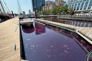 Baltimore Marina Runs Red As Mysterious Oil Spill Oozes Into Waterfront (PHOTOS)