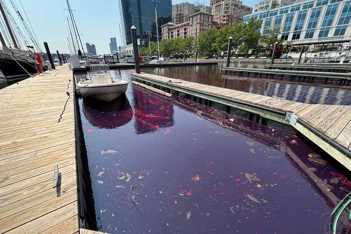 Baltimore Marina Runs Red As Mysterious Oil Spill Oozes Into Waterfront (PHOTOS)
