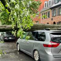 50,000+ Lose Power In Maryland As Storms Pound Region, BGE Says