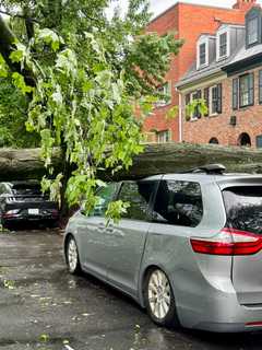 50,000+ Lose Power In Maryland As Storms Pound Region, BGE Says