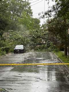 10K+ Without Power In Maryland, Virginia After Storms Slam DMV