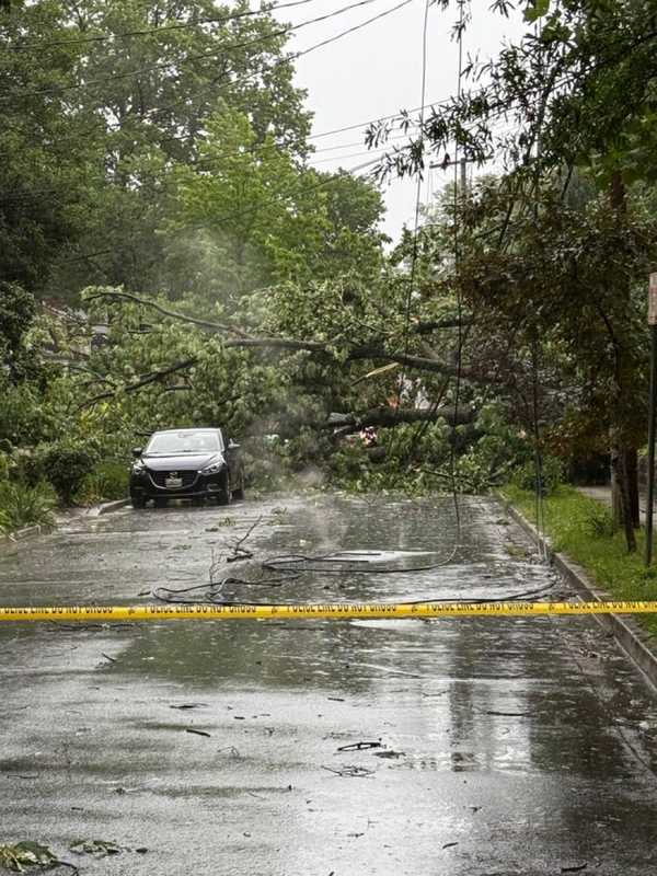 10K+ Without Power In Maryland, Virginia After Storms Slam DMV