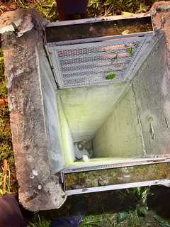 Trapped Man Pulled From 30-Foot Storm Drain Along I-395 In DC (PHOTOS)