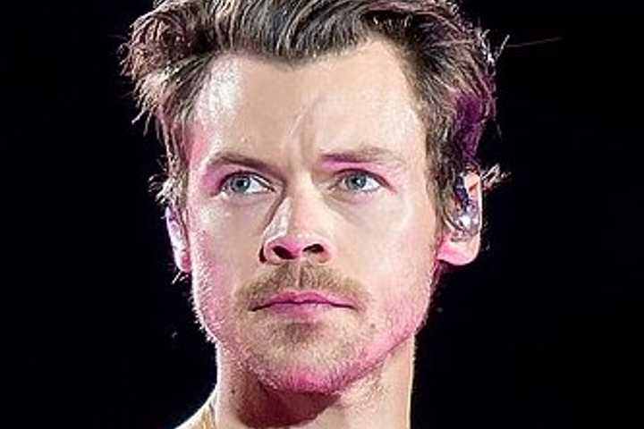 Harry Styles Collapses On Stage, Stunning Concertgoers: Watch
